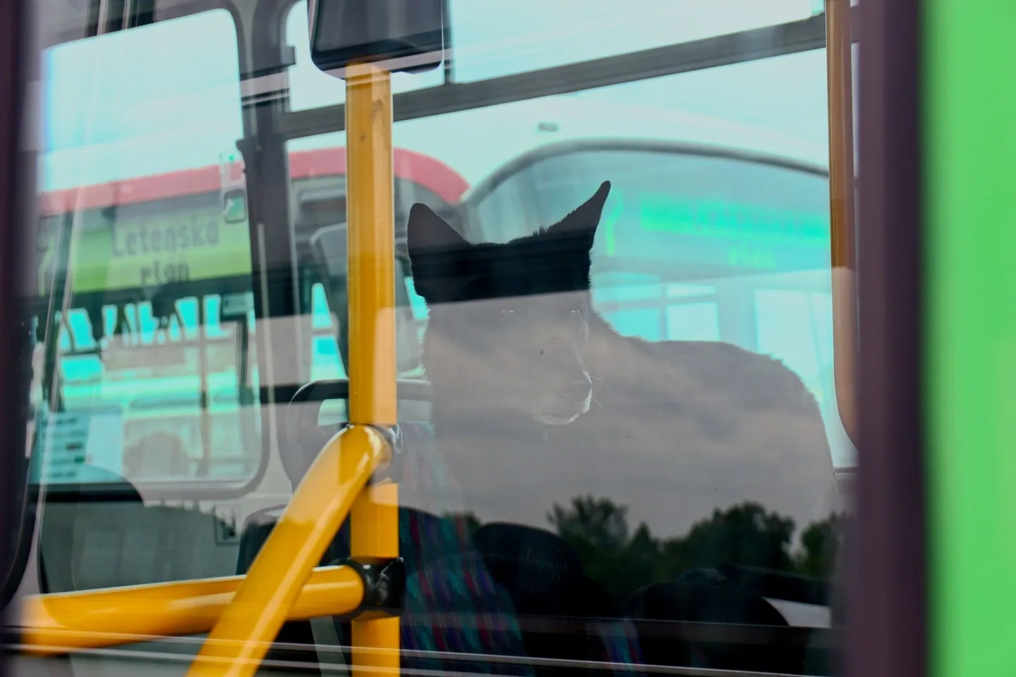 FOTO: Autobusový den PID na Letné přilákal fanoušky historických i moderních autobusů