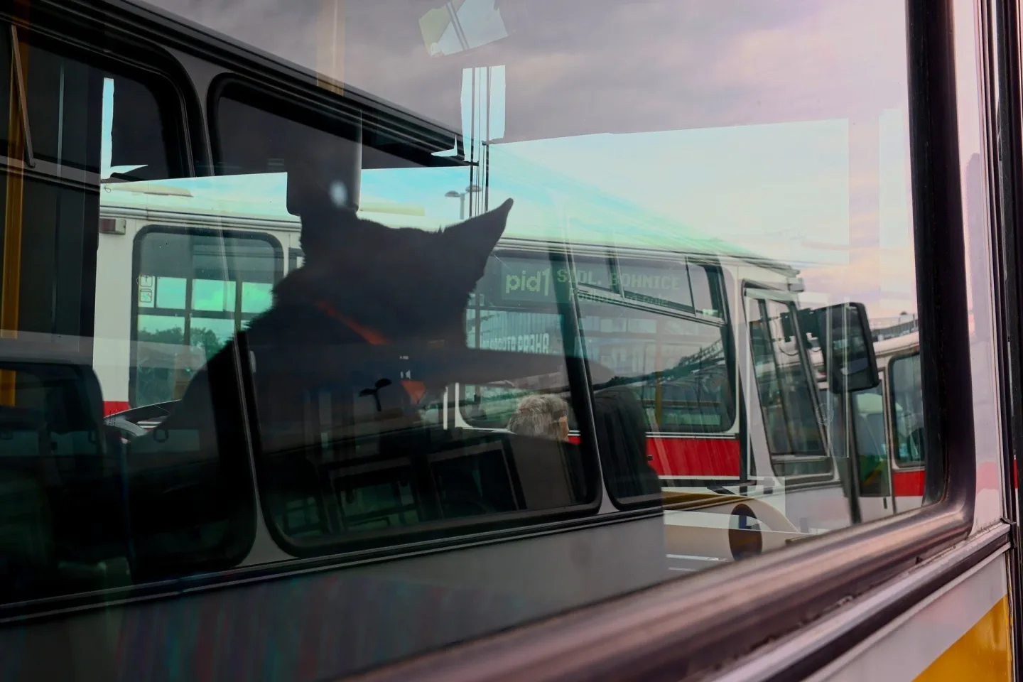 FOTO: Autobusový den PID na Letné přilákal fanoušky historických i moderních autobusů