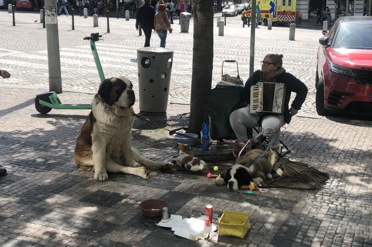 Rumuni zvířata využívali i na Václavském náměstí.