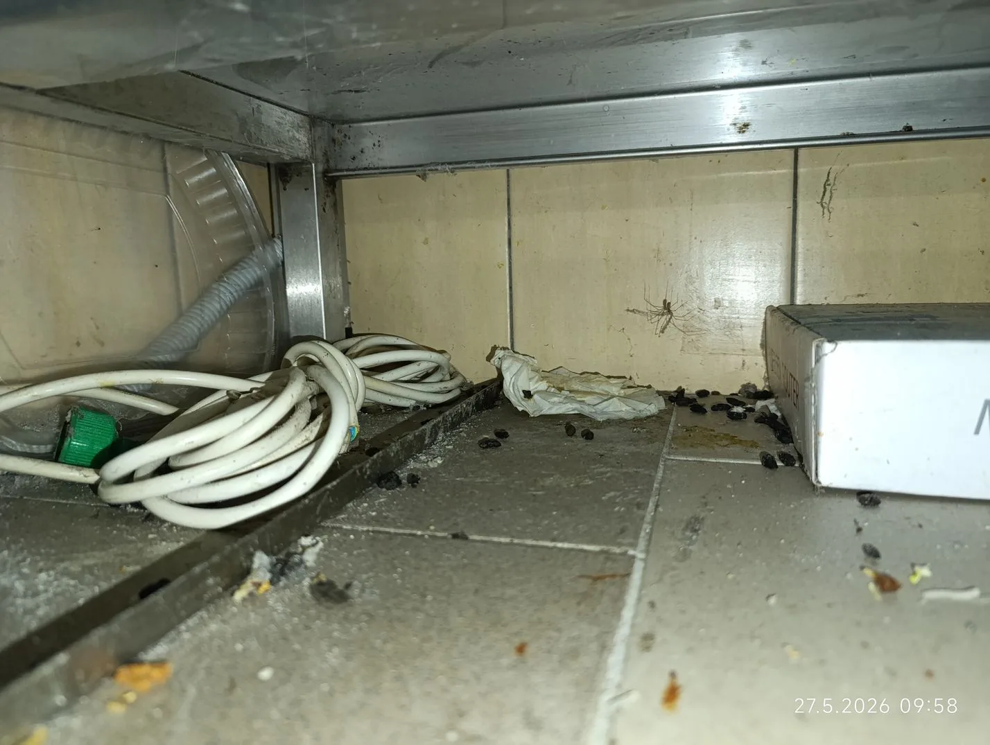 Myší trus i kouření v kuchyni. Bistro v Řepích museli zavřít inspektoři