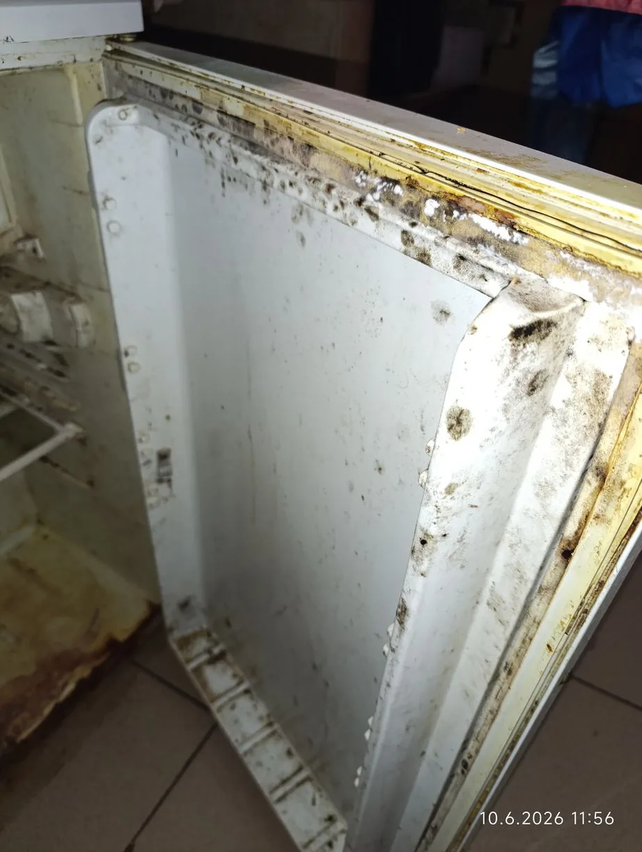 Bez teplé vody, zato se špínou a plísní. Čínskou restauraci v Praze okamžitě zavřeli