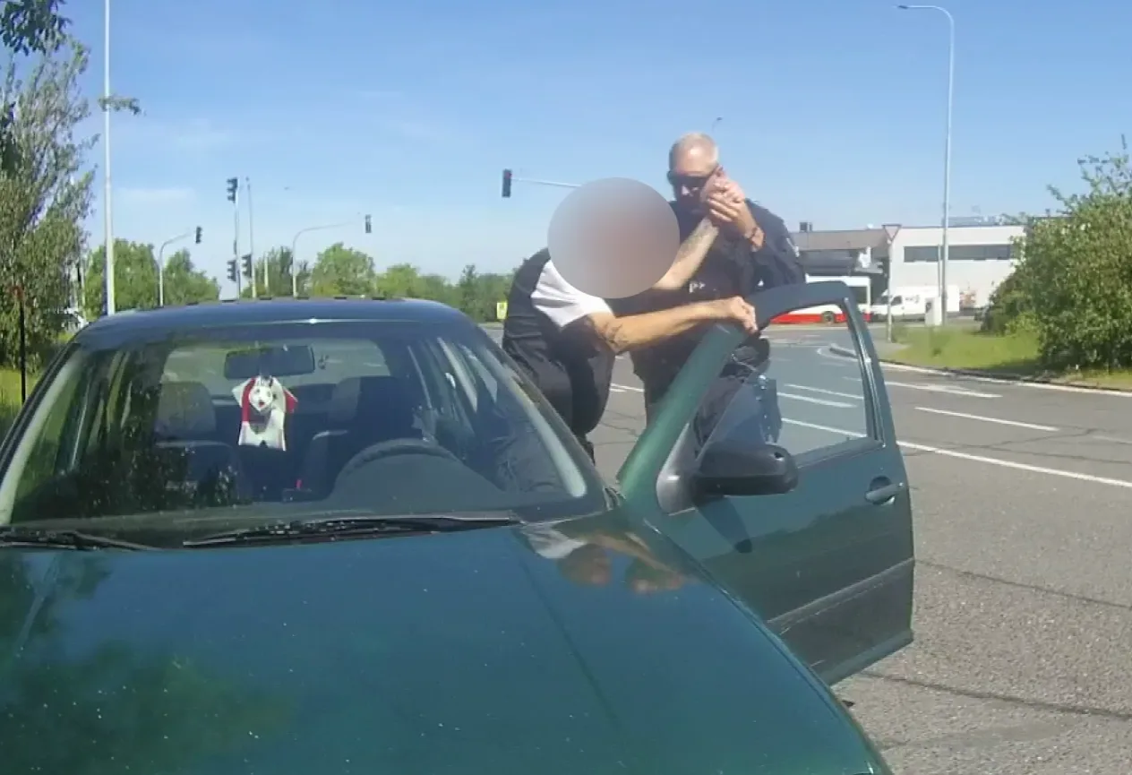 Muž za volantem kolaboval.