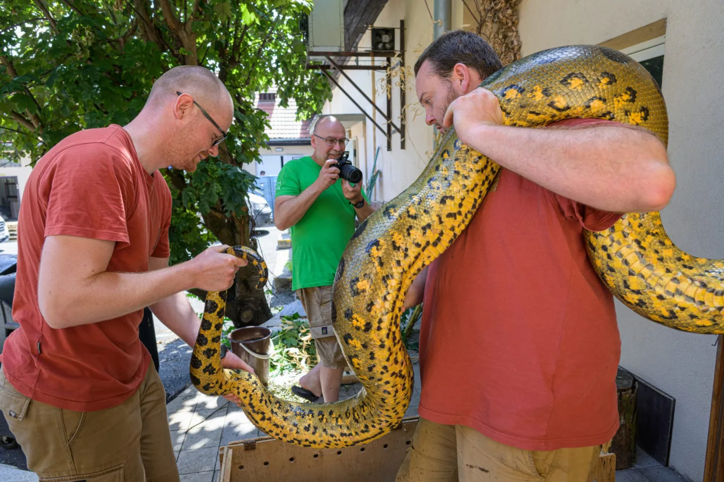 Zoo Praha