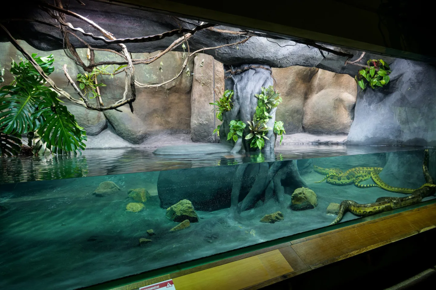 Zoo Praha