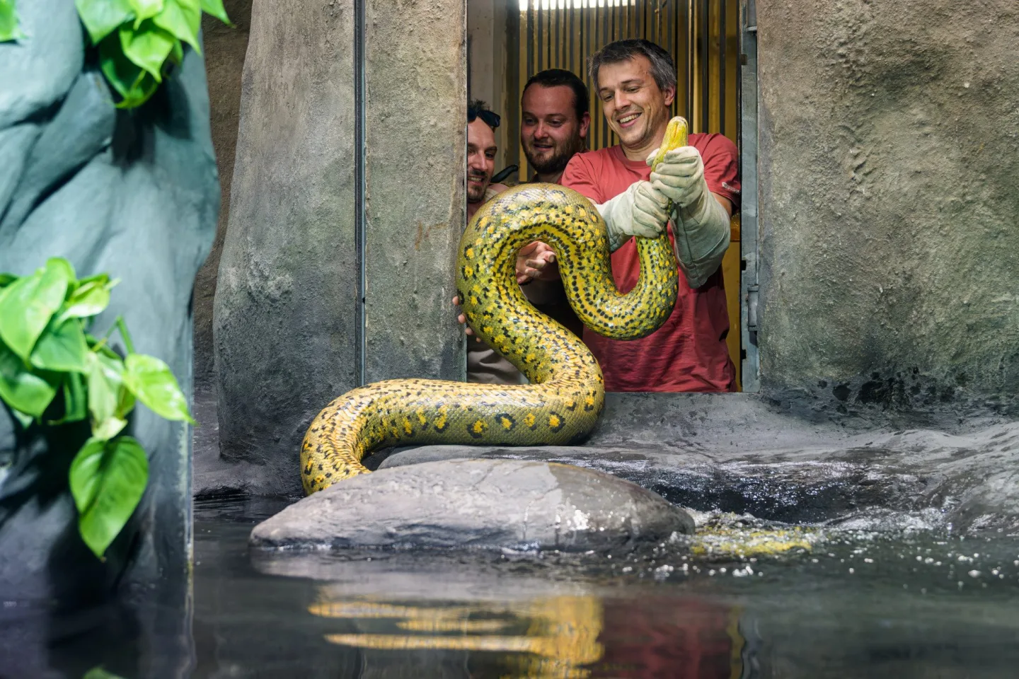 Zoo Praha