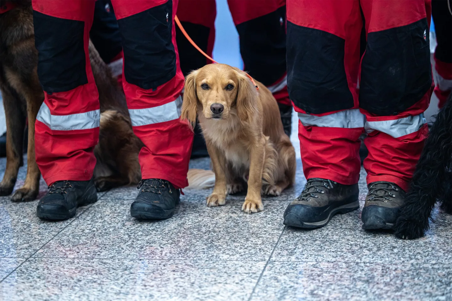 Velké horko a malá šance na záchranu. Psovod městské policie popsal zásah ve Venezuele