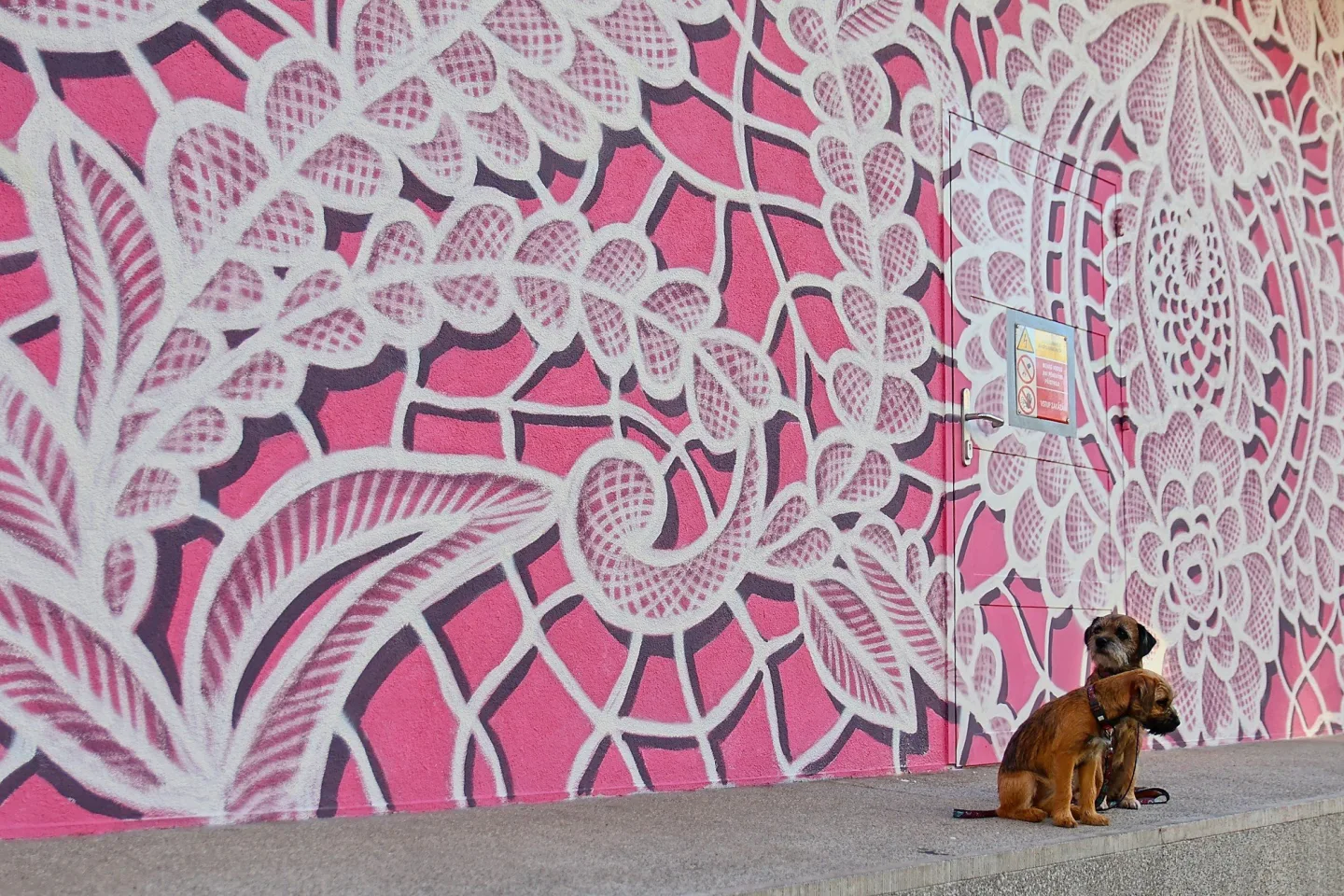 FOTO: Růžový mural na Žižkově je zatím nedokončený, autorka musela práci přerušit