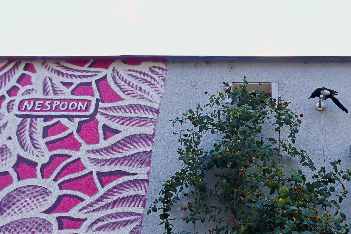 FOTO: Růžový mural na Žižkově je zatím nedokončený, autorka musela práci přerušit