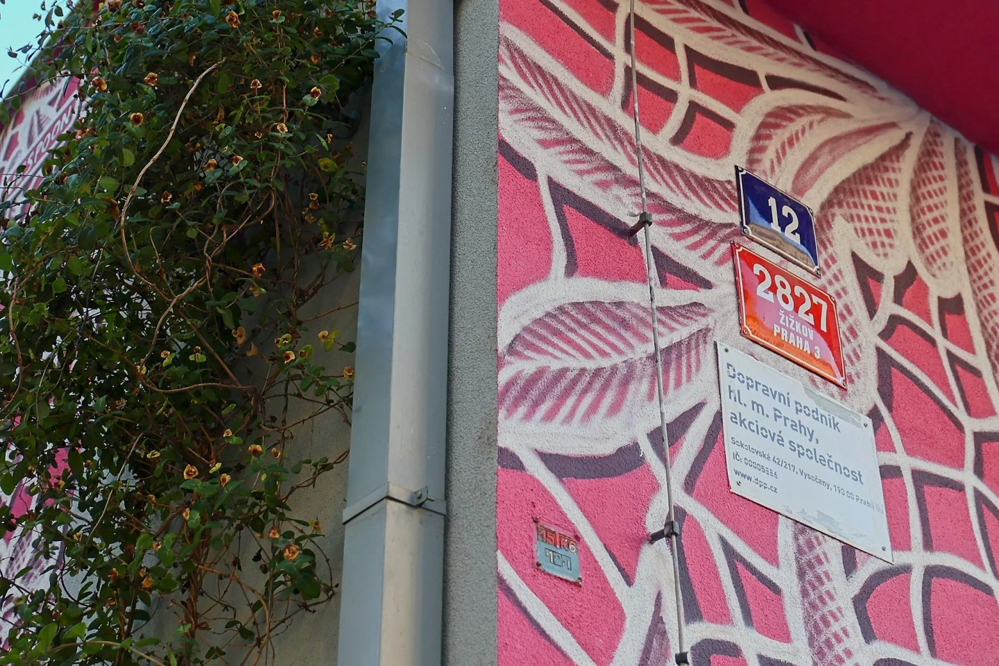 FOTO: Růžový mural na Žižkově je zatím nedokončený, autorka musela práci přerušit