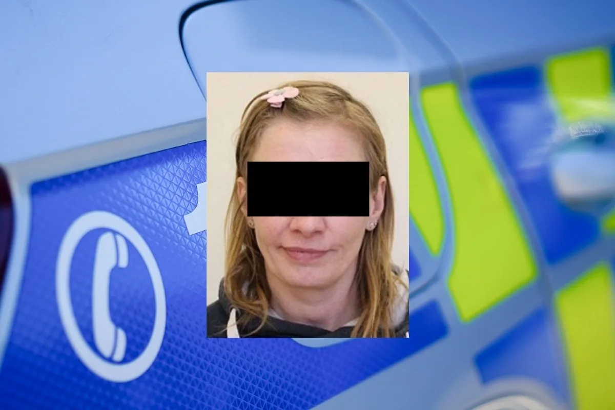 Policie odvolala pátrání po pacientce bohnické nemocnice léčené kvůli žhářství