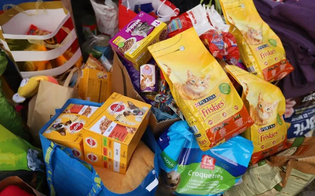 Vánoce v trojském útulku. Pražané přinesli 10 tun krmení a zhruba 800 kilo dek.