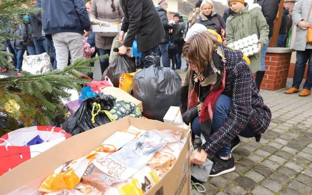 Vánoce v trojském útulku. Pražané přinesli 10 tun krmení a zhruba 800 kilo dek.