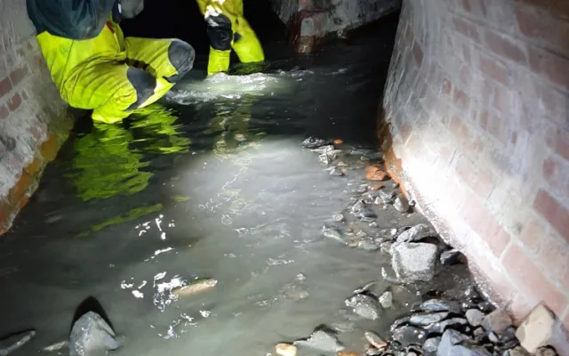 VIDEO: Muž uškrtil známého a tělo hodil do kanálu. Jeho rodině řekl, že odjel do ciziny