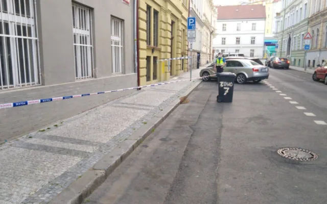 FOTO: V Praze se objevily včelí roje. Strážníci volali na pomoc včelaře