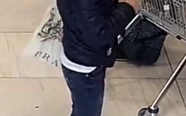 FOTO, VIDEO: Podívejte se, jak žena okrádá seniory v Praze. Pátrá po ní policie