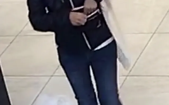 FOTO, VIDEO: Podívejte se, jak žena okrádá seniory v Praze. Pátrá po ní policie