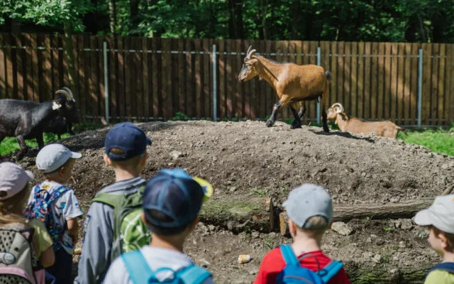 FOTO: Zookoutek v Kamýku je obnoven. Zavítali do něj první návštěvníci
