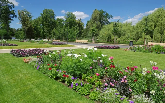 FOTO: Ve Stromovce byly obnoveny záhony. Je na nich přes 13 tisíc letniček