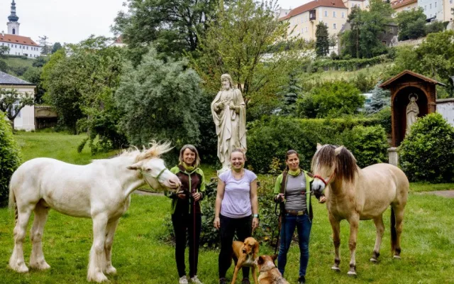 FOTO: Když zvířata pomáhají. V pražské nemocnici zavedli hipoterapii