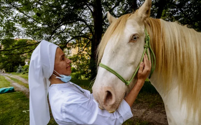 FOTO: Když zvířata pomáhají. V pražské nemocnici zavedli hipoterapii