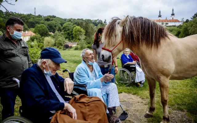 FOTO: Když zvířata pomáhají. V pražské nemocnici zavedli hipoterapii