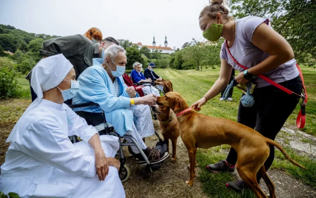 FOTO: Když zvířata pomáhají. V pražské nemocnici zavedli hipoterapii