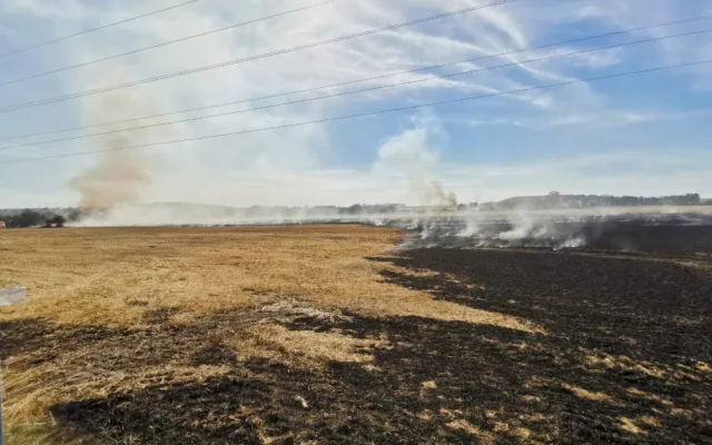 Hasiči likvidovali na okraji Prahy požár pole, jeden člověk byl zraněn