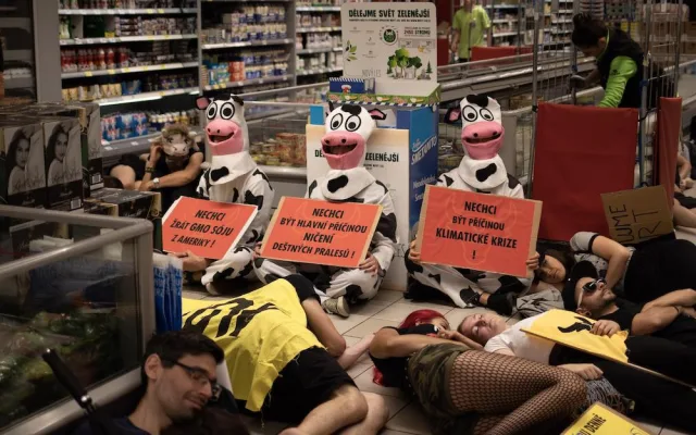 Aktivisté zaplavili Albert v Arkádách. Protestovali proti kampani za záchranu lesů.