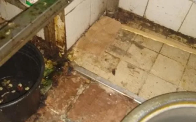 FOTO: Nepořádek i sekačka v kuchyni. Inspekce uzavřela další restauraci