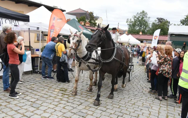 FOTO: Libeňský zámek oslavil 250 let od přestavby Marií Terezií. Podívejte se na fotky