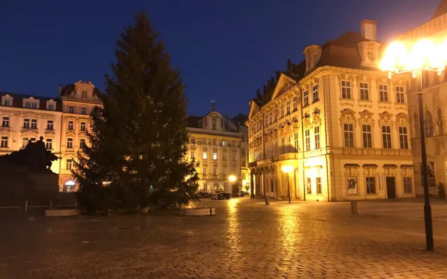 FOTO, VIDEO: Vánoční strom pro Prahu je na svém místě. Rozsvítí se o víkendu