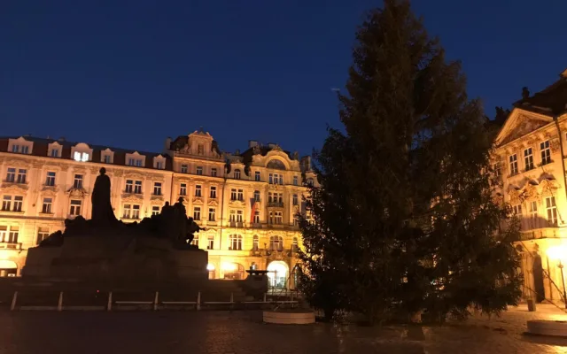 FOTO, VIDEO: Vánoční strom pro Prahu je na svém místě. Rozsvítí se o víkendu