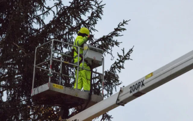 FOTO: Podívejte se, jak probíhalo odstrojování vánočního stromu na Staroměstském náměstí. Co s ním bude dál?