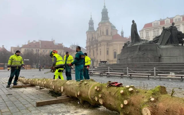 FOTO: Strom ze Staroměstského náměstí již zmizel. Z kmene bude nábytek pro domov seniorů