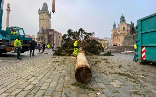 FOTO: Strom ze Staroměstského náměstí již zmizel. Z kmene bude nábytek pro domov seniorů