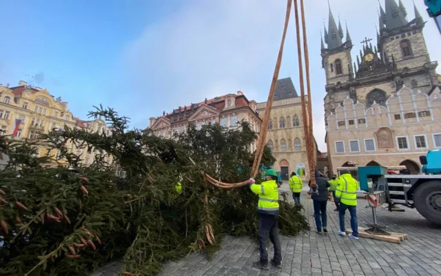 FOTO: Strom ze Staroměstského náměstí již zmizel. Z kmene bude nábytek pro domov seniorů