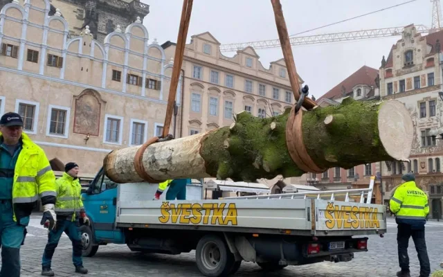 FOTO: Strom ze Staroměstského náměstí již zmizel. Z kmene bude nábytek pro domov seniorů