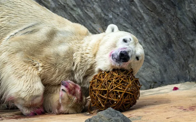 Zoo Praha