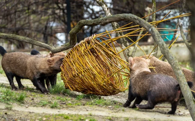 Zoo Praha