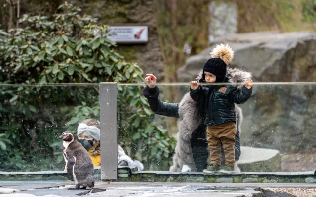 Do zoo přišlo od pondělí přes 8000 návštěvníků, do botanické zahrady zavítalo 2000 lidí
