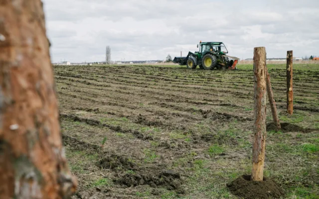 U Lítožnice vzniká nový les. Vysazeno tady bude 53 tisíc nových stromů
