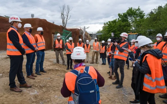 Gorily v pražské zoo dostanou nový pavilon. Bude stát 300 milionů a hotov bude na podzim 2022