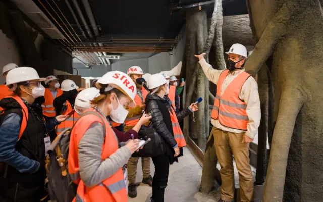 Gorily v pražské zoo dostanou nový pavilon. Bude stát 300 milionů a hotov bude na podzim 2022