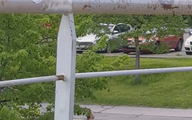 Muž se měl schovávat v křoví, sledovat dvě dívky a onanovat. Ty si ho vyfotily