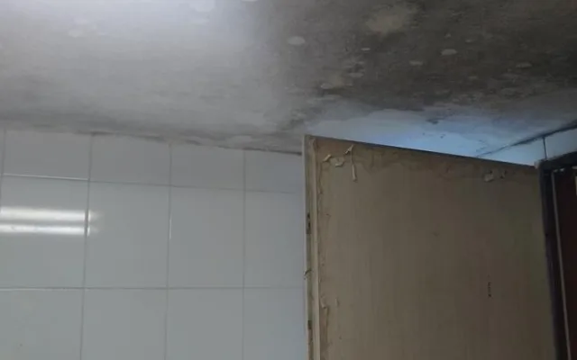 Další nelegální pěstírna v Praze. Tentokrát nešlo o konopí, ale o mungo klíčky