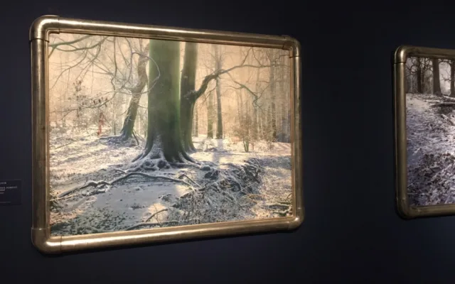 V díle Ivana Exnera se prolíná inspirace českými klasiky i světovou kulturou. Jeho obrazy je možné vidět v Královském letohrádku