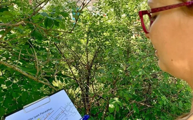 V parcích v Praze 3 vznikla pítka pro ptáky. Lidé si jej mohou vyrobit i doma