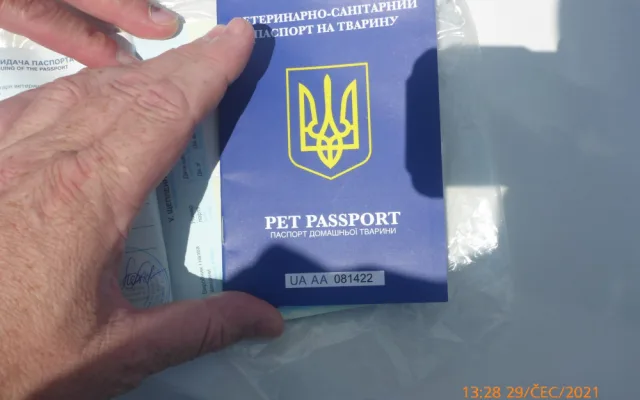 Muž v centru Prahy nabízel lidem fotku s ohroženou sovou pálenou. Případ řeší policie