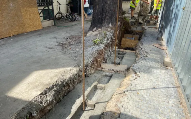 Praha obnovila narušenou zeď v centru města bez nutnosti pokácet jedinečný strom