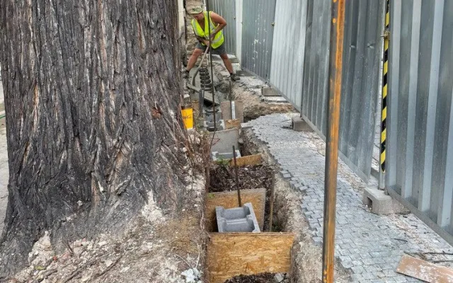 Praha obnovila narušenou zeď v centru města bez nutnosti pokácet jedinečný strom